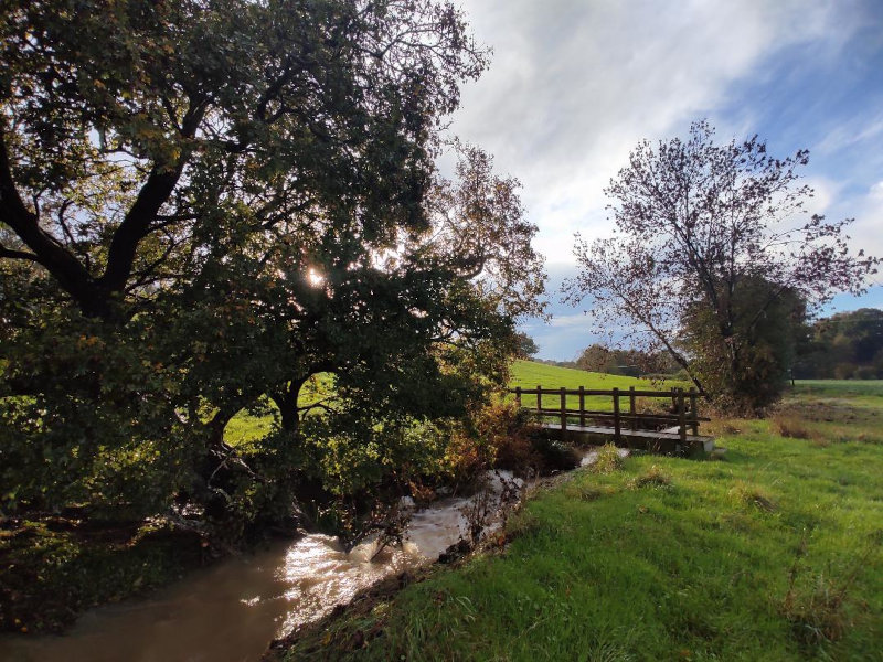 Spring time walk near The Plough Crowhurst